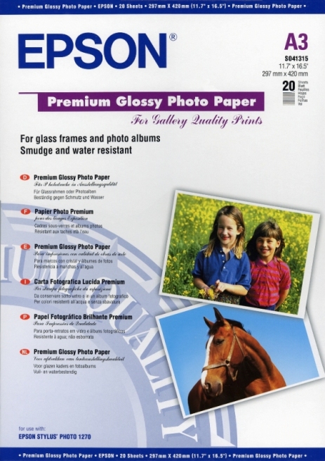 EPSON Paper Premium Glossy Photo C13S041315