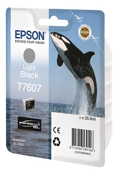 EPSON Cartridge Light Black C13T76074010